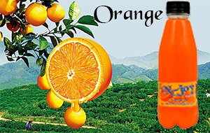 Orange Njoy Soft Drinks | Divine Foods and Beverages